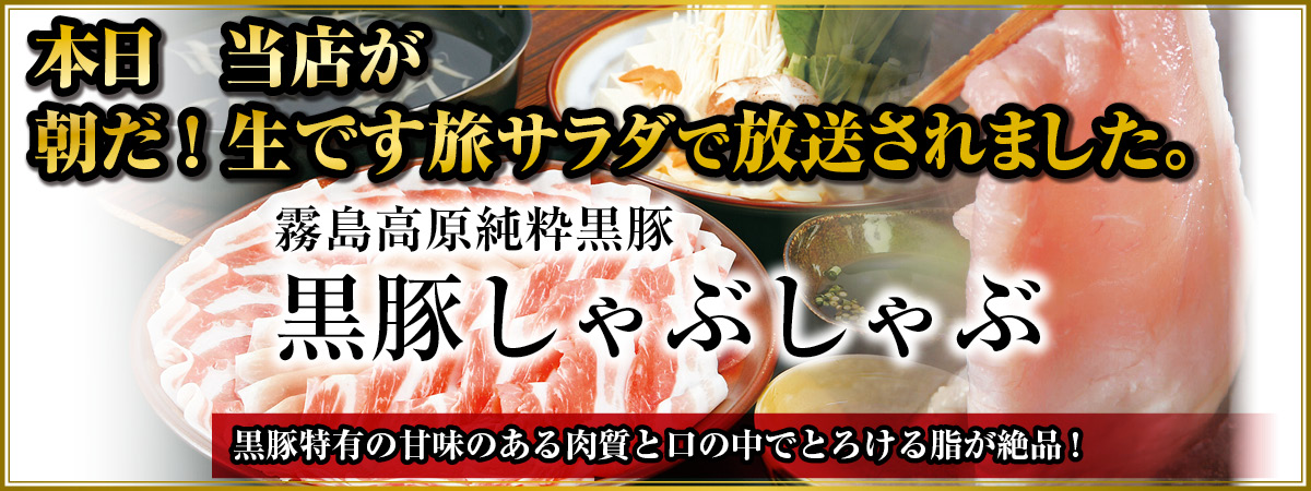 2026朝だ旅サラダで放送されました